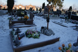 (photo)