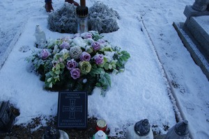 (photo)