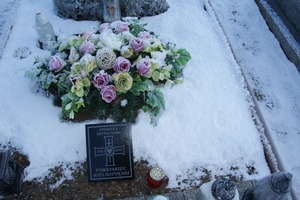 (photo)