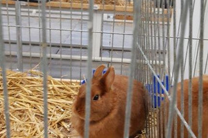 (photo)