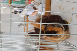  (photo)