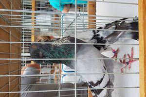  (photo)