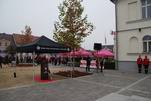 (photo)