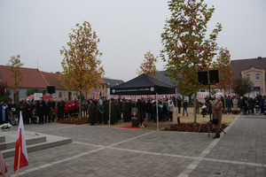 (photo)