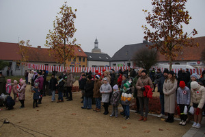 (photo)
