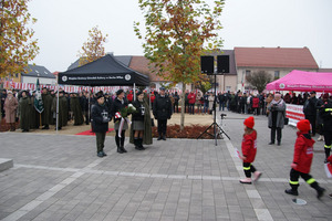 (photo)