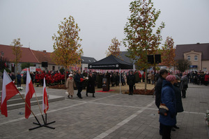 (photo)