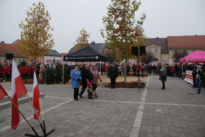 (photo)