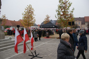 (photo)