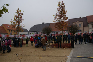 (photo)