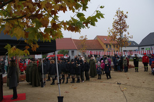 (photo)
